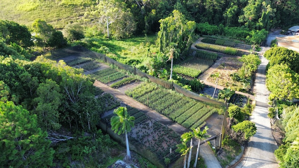 Cedarwood Nursery | 66 Warwick Park Rd, Wooyung NSW 2483, Australia | Phone: 0416 929 029