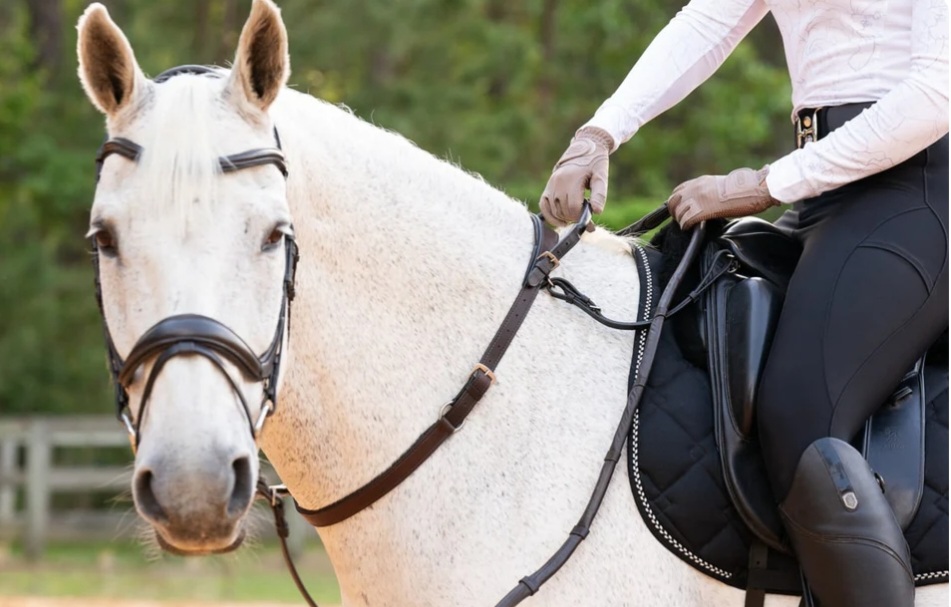 Equine Expression | Main Western Rd, Tamborine Mountain QLD 4272, Australia | Phone: 0400 774 157