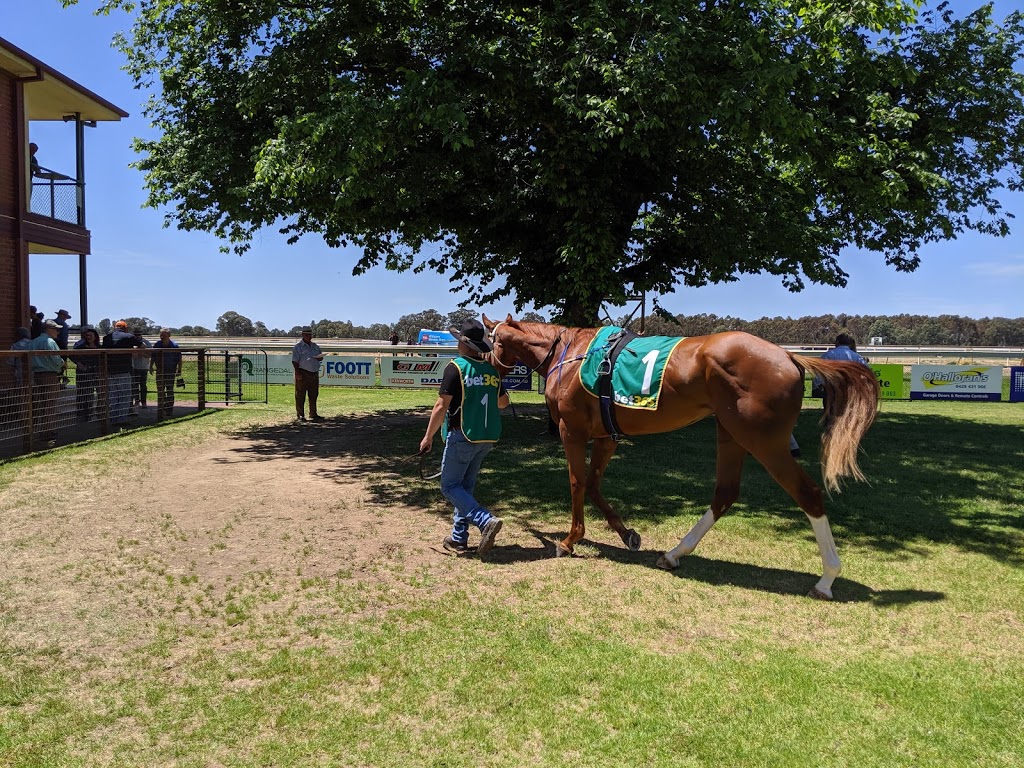 Benalla Pony Club | 5809 Midland Hwy, Benalla VIC 3672, Australia | Phone: 0427 352 752