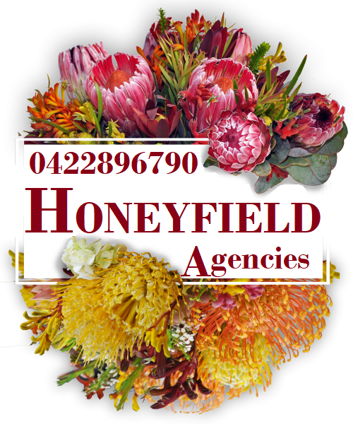 Honeyfield Agencies | 23-33 Arabian Cres, Jimboomba QLD 4280, Australia | Phone: 0422 896 790