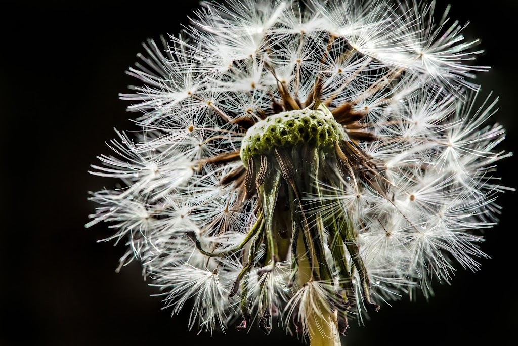 Beginner to Advanced Photography Courses in Toowoomba |  | 7/43 McGregor St, Wilsonton QLD 4350, Australia | 0437828418 OR +61 437 828 418