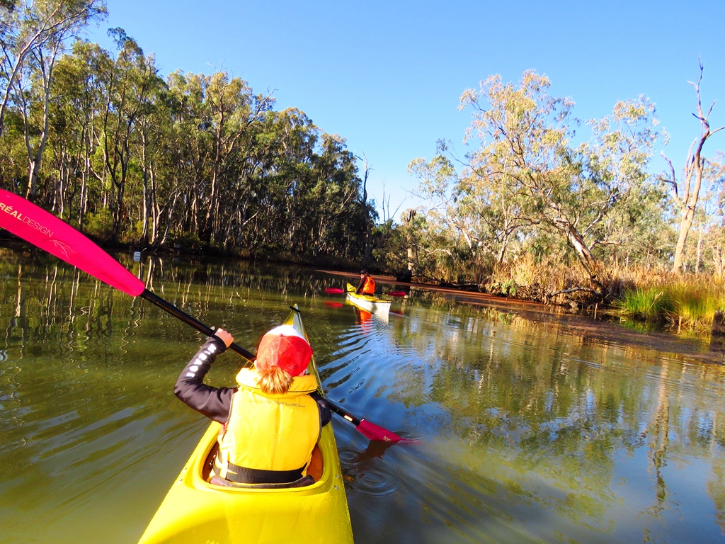 Sydney Harbour Kayaks Murray River Adventures (Cohuna, Vic) | 104 King Edward St, Cohuna VIC 3568, Australia | Phone: 0413 005 787