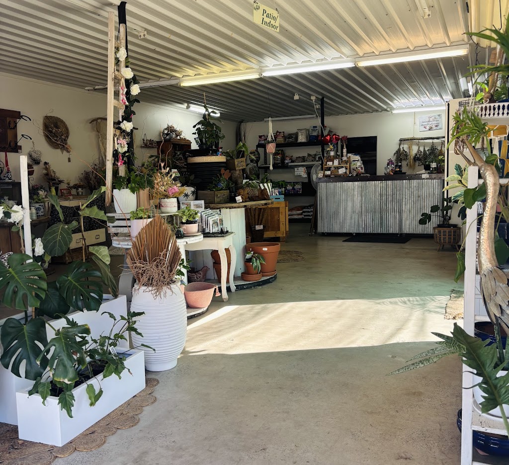 WillEms Nursery | 87 Wyndham St, Roma QLD 4455, Australia | Phone: (07) 4622 5451