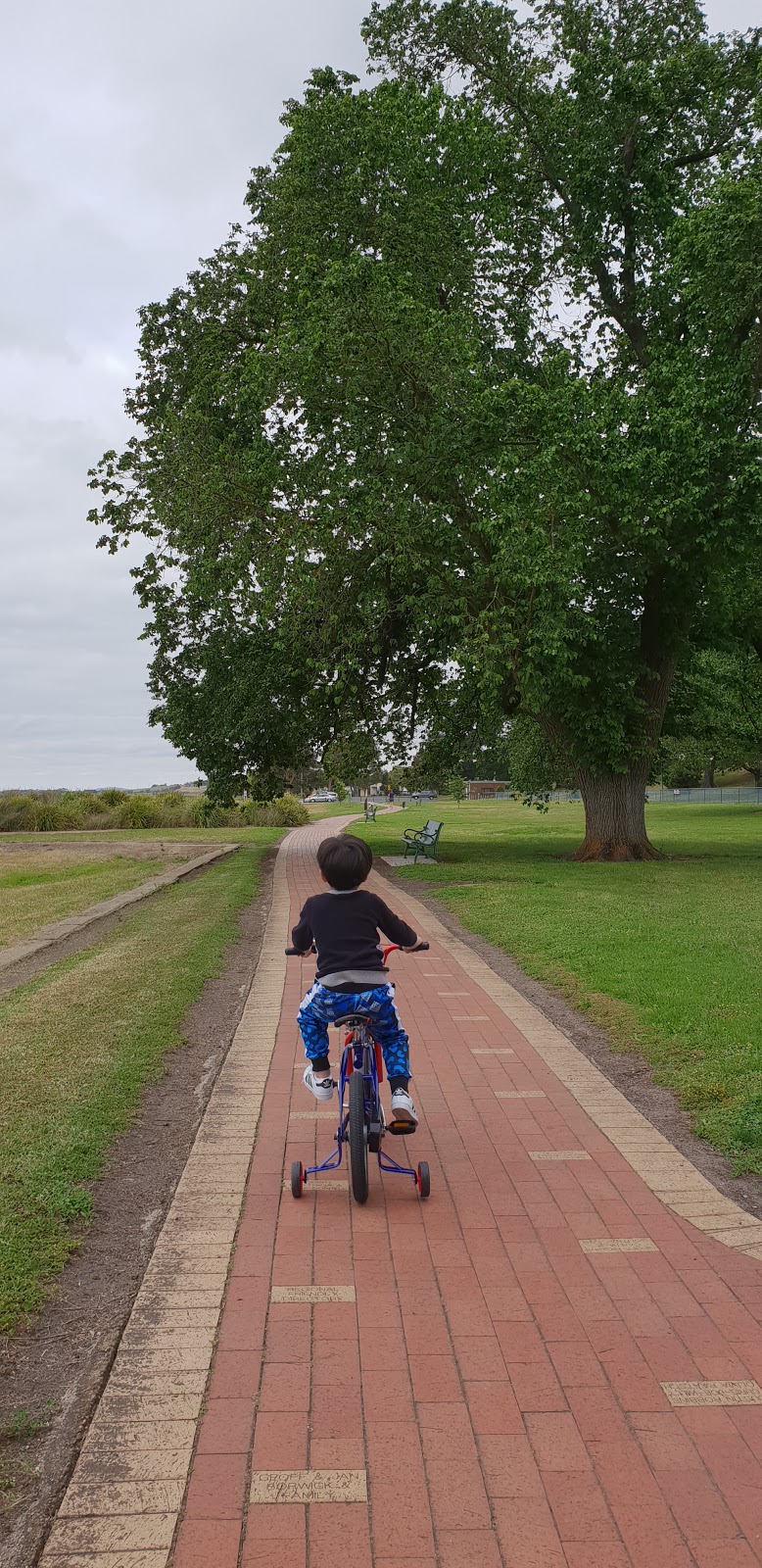 Lake Colac Foreshore Reserve | park | Colac VIC 3250, Australia