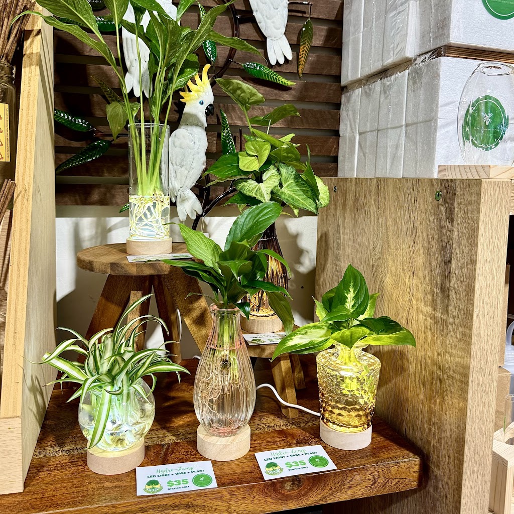 Loggers Hut Gift Shop & Espresso Bar | 1/239 High St, Wauchope NSW 2446, Australia | Phone: (02) 6586 4439