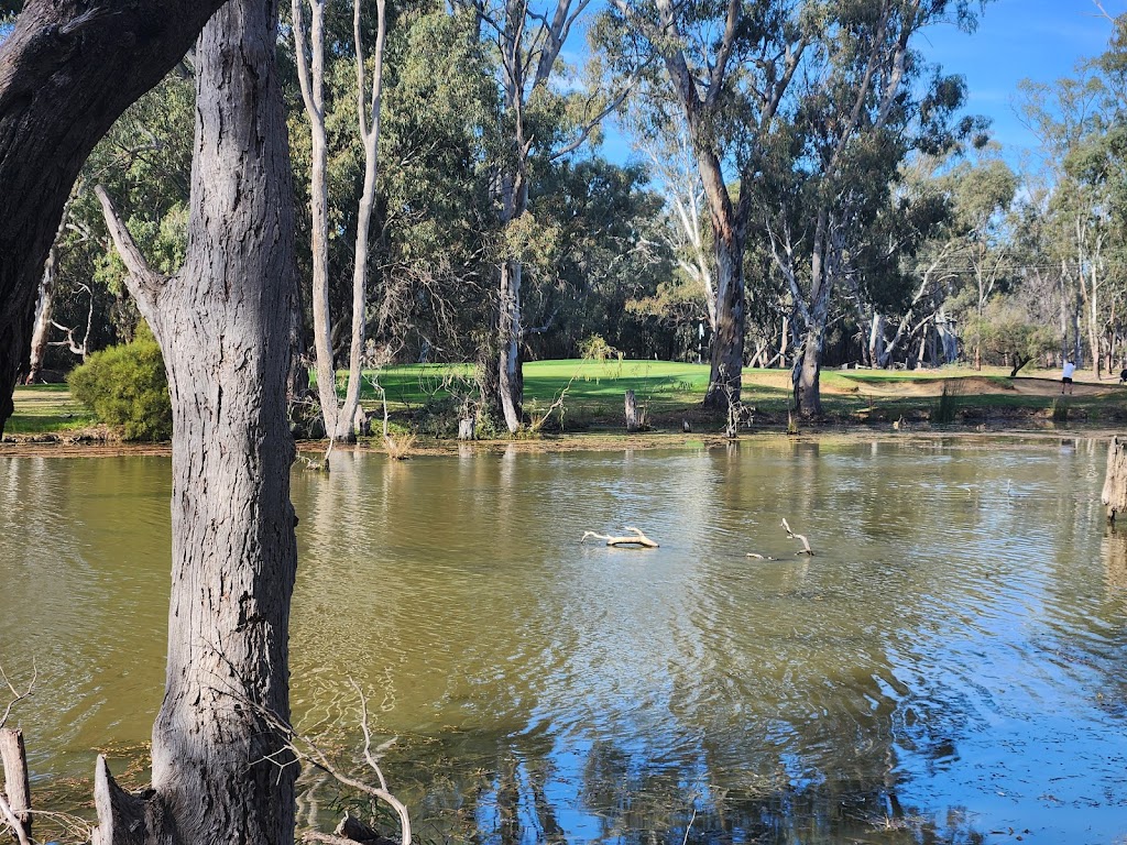 cluBarham Golf & Sports | 237 Moulamein Rd, Barham NSW 2732, Australia | Phone: (03) 5451 1800