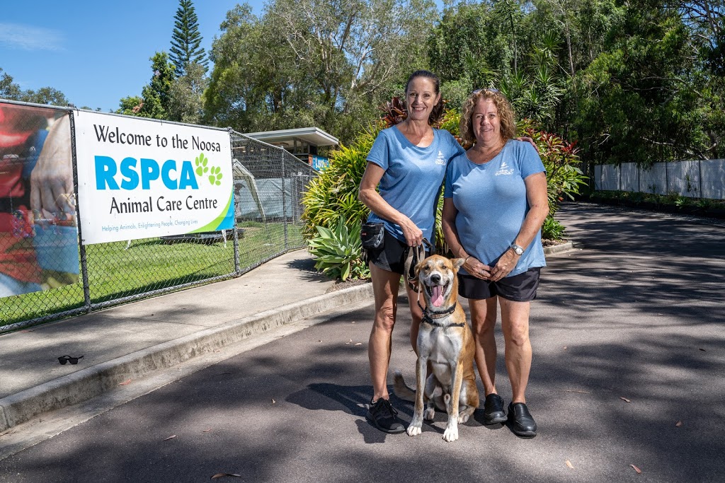 RSPCA Noosa | Cnr Hollett and, W Eumundi Rd, Noosaville QLD 4562, Australia | Phone: (07) 5449 1371