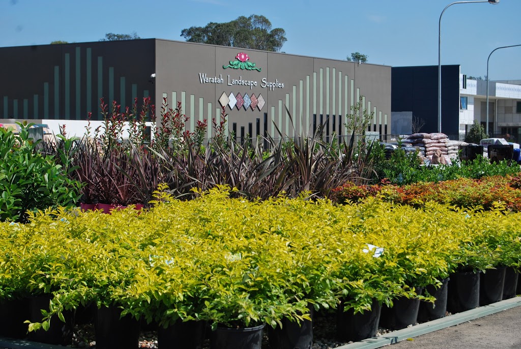 Waratah Landscape & Garden Supplies Narellan | store | 27/29 Rodeo Rd, Gregory Hills NSW 2557, Australia | 1300927282 OR +61 1300 927 282