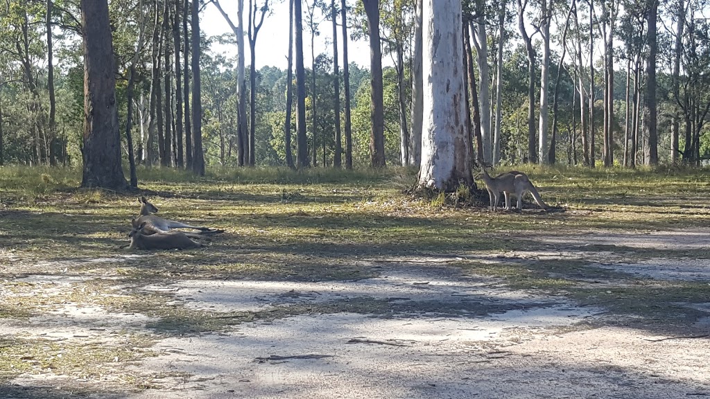 Woodford Golf Club | 2/82 Golf Course Rd, Woodford QLD 4514, Australia | Phone: (07) 5496 1004