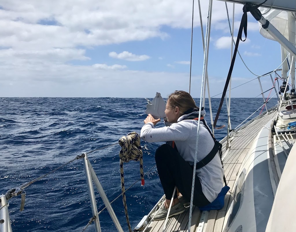 Panache Sailing | 1 Marina Dr, Coffs Harbour NSW 2450, Australia | Phone: 0450 144 210