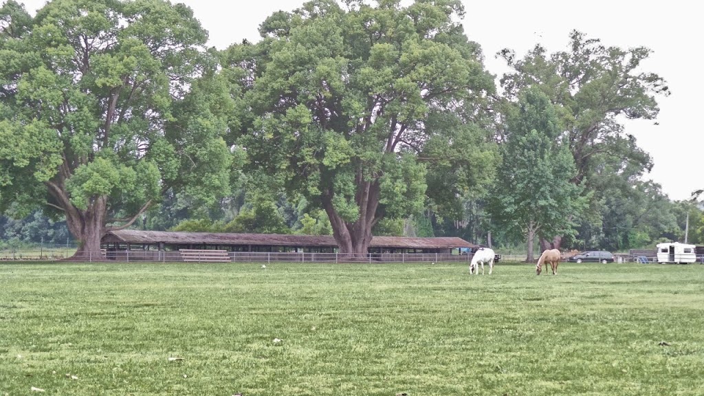 Bellingen Showgrounds | Black St, Bellingen NSW 2454, Australia