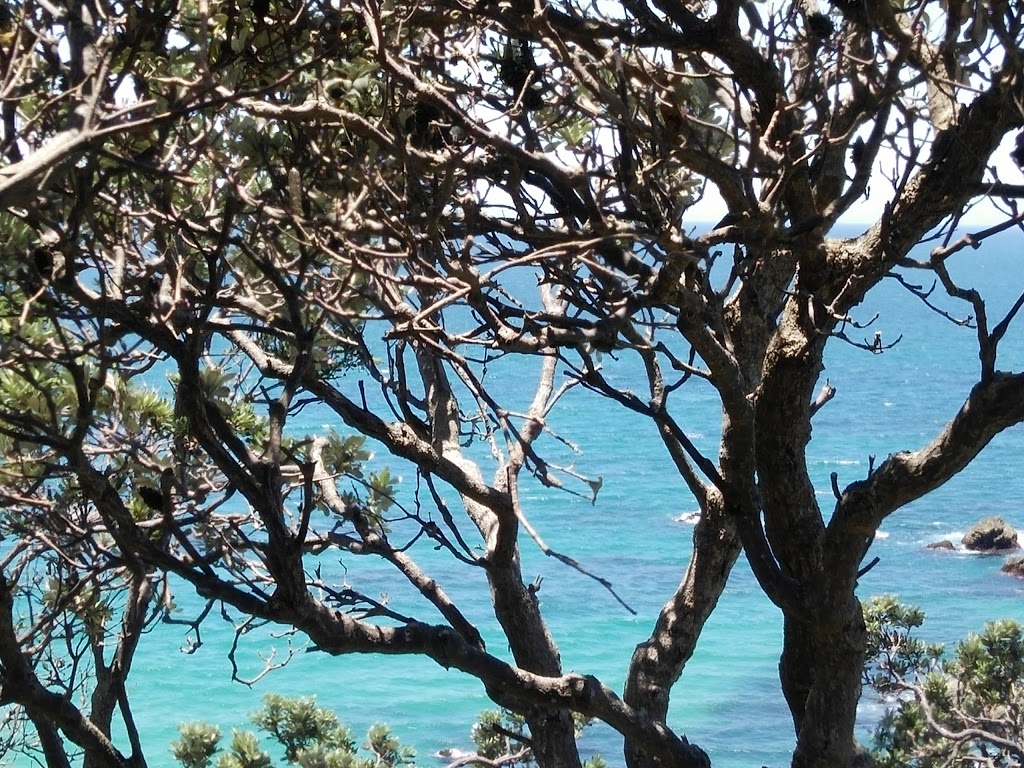 Seaviews at Sapphire Beach | Sapphire Beach NSW 2450, Australia | Phone: (02) 6732 2333