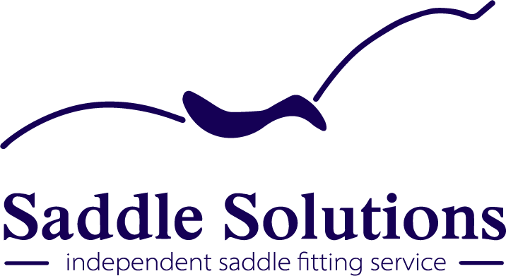 Saddle Solutions | 210 Haddrill Rd, Baskerville WA 6056, Australia | Phone: 0406 057 569