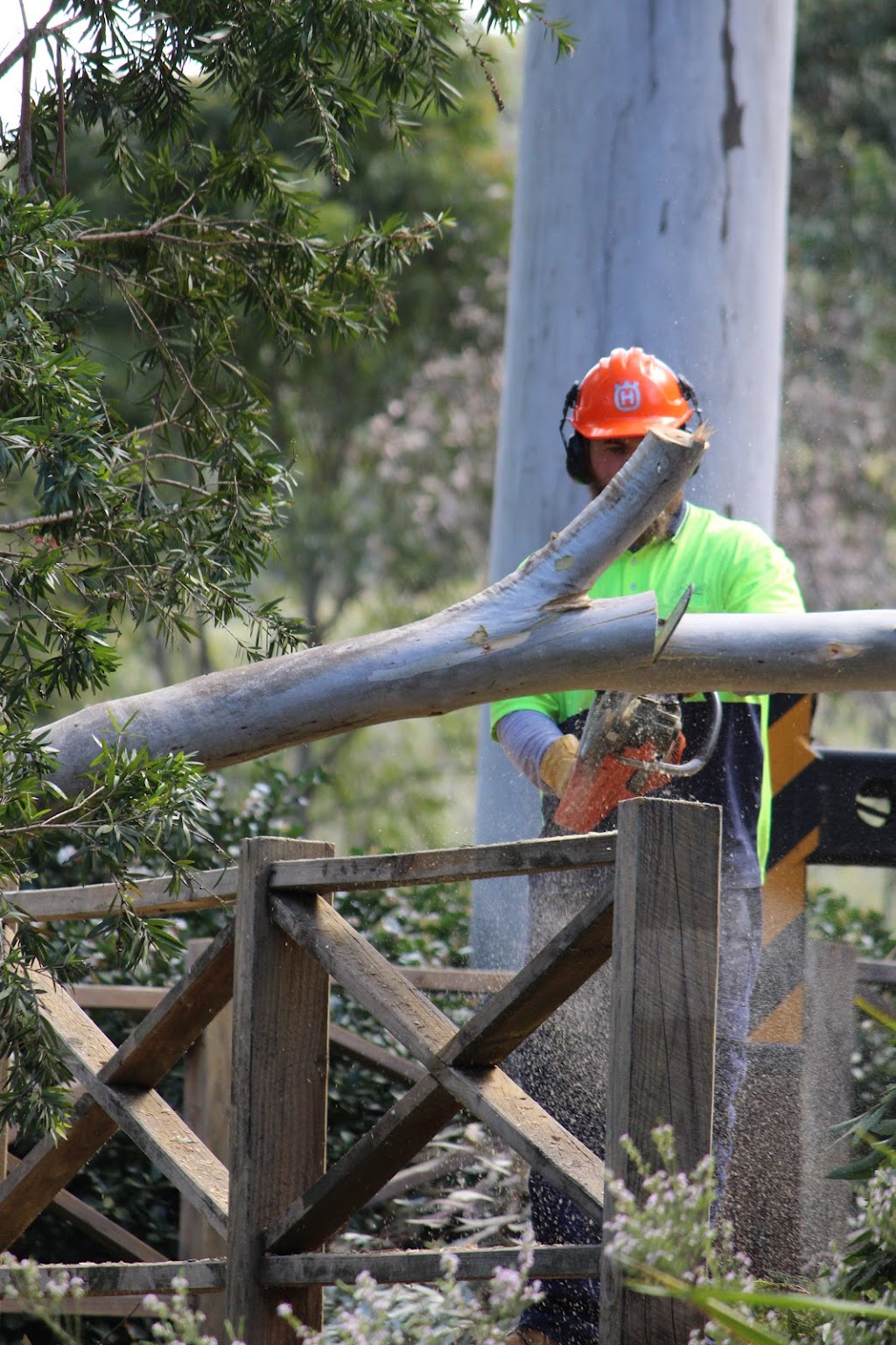 Hayden Tree Service | 11 Grn Hl Rd, Cooranbong NSW 2265, Australia | Phone: 0405 100 275
