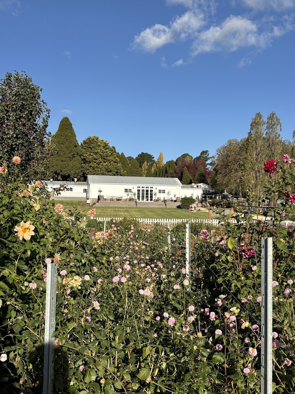 Burradoo Park Farm | 6 Railway Rd, Burradoo NSW 2576, Australia | Phone: (02) 5732 7000