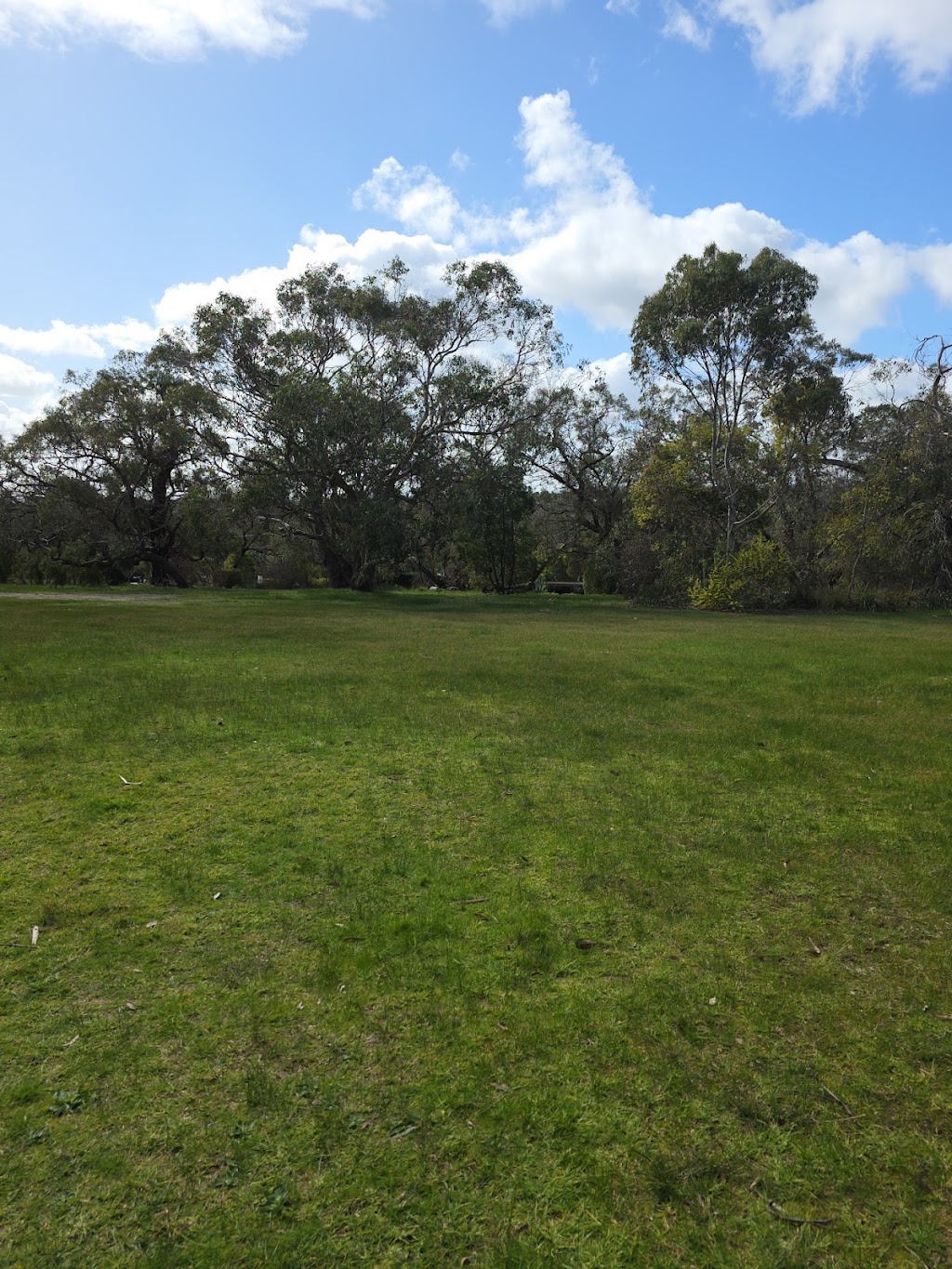 Derinya Reserve Dog Off Leash Area | 22R Derinya Dr, Frankston South VIC 3199, Australia | Phone: (03) 9775 2640