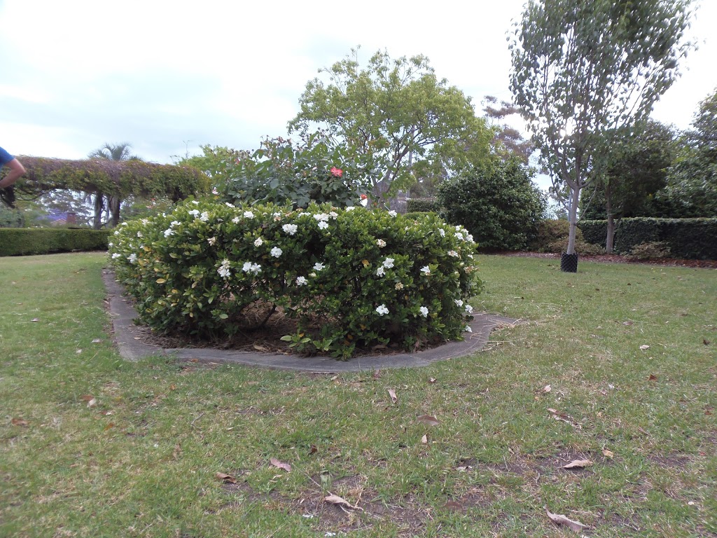 Pymble Soldiers Memorial Park | park | Pymble NSW 2073, Australia