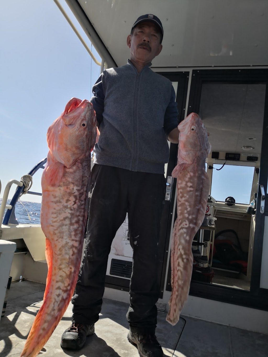 Pro Perch Fishing Charters | Endeavour Dr, Wollongong NSW 2500, Australia | Phone: 0433 918 869