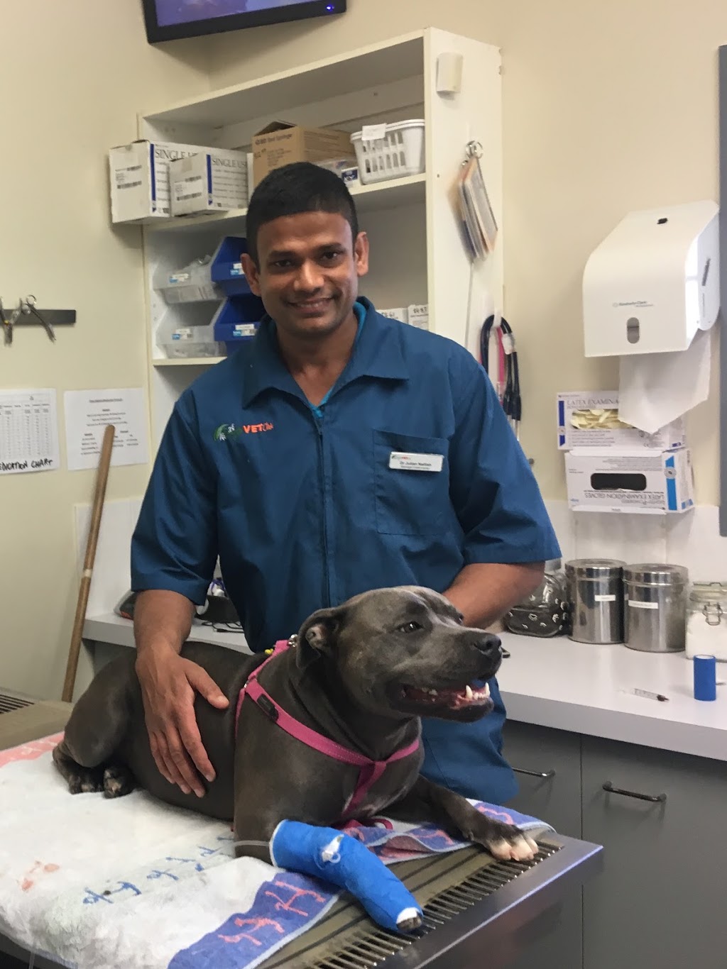 Daisy Hill Veterinary Clinic | 5 Allamanda Dr, Daisy Hill QLD 4127, Australia | Phone: (07) 3808 1085