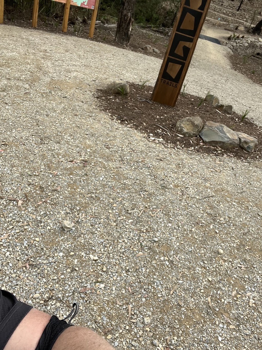 Mogo Trails | 10 Annett St, Mogo NSW 2536, Australia | Phone: (02) 4474 1000