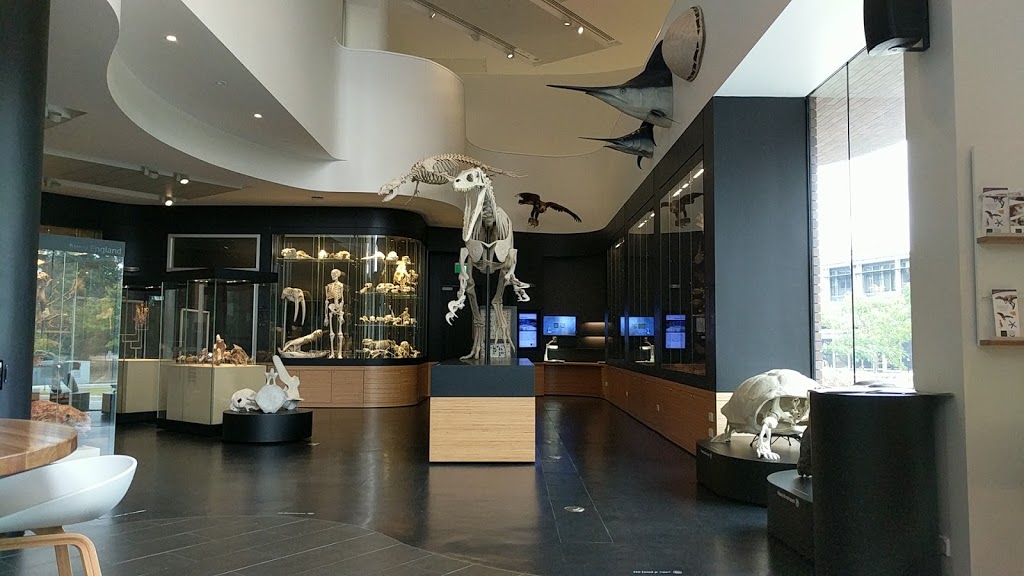 Natural History Museum | Armidale NSW 2350, Australia