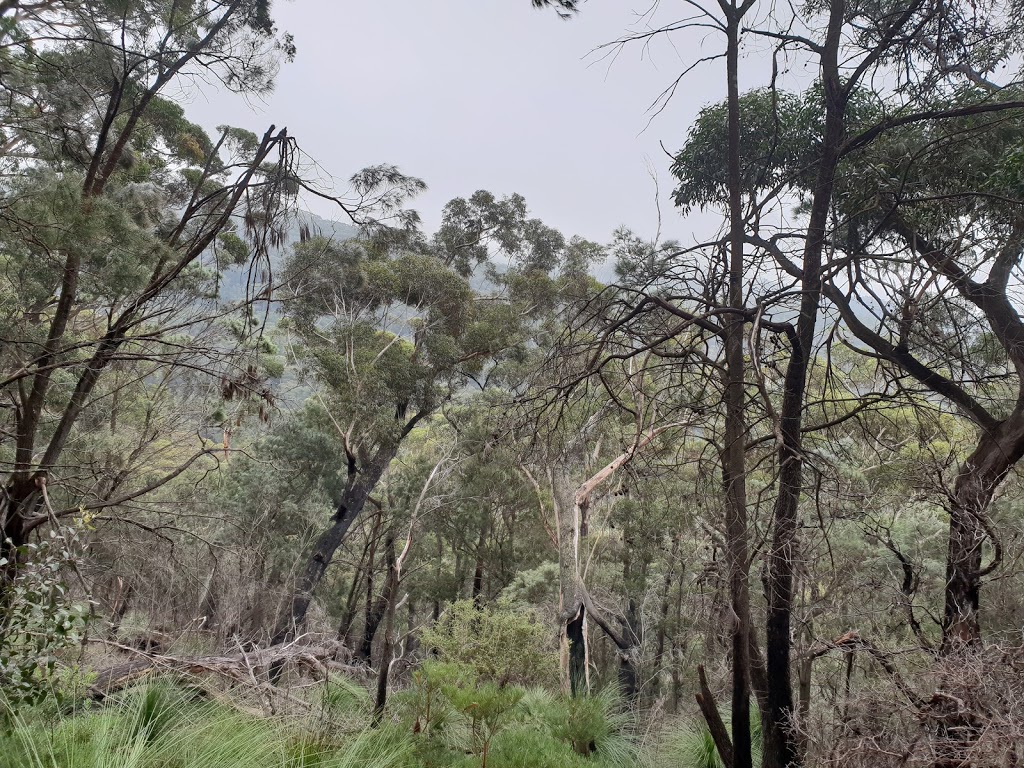 Corn Trail Walking Track Trail head | park | Old River Rd, Monga NSW 2622, Australia