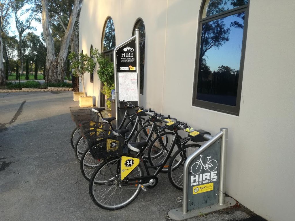 Spinway Adelaide Bike Hire - Serafino Wineries | 39 Kangarilla Rd, McLaren Vale SA 5171, Australia | Phone: 0429 952 297