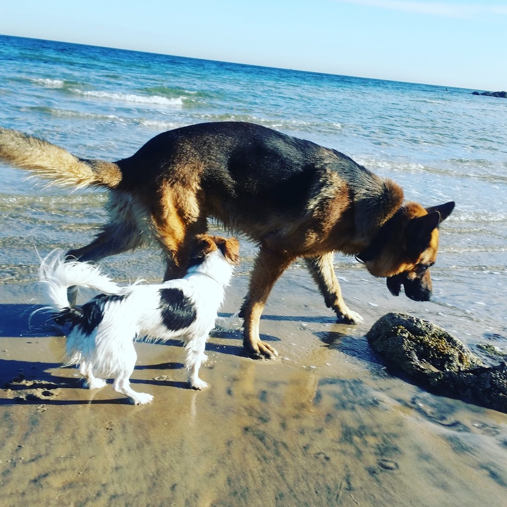 Dog Friendly Beach - Hawker beach | park | 3 Esplanade, Mount Martha VIC 3934, Australia