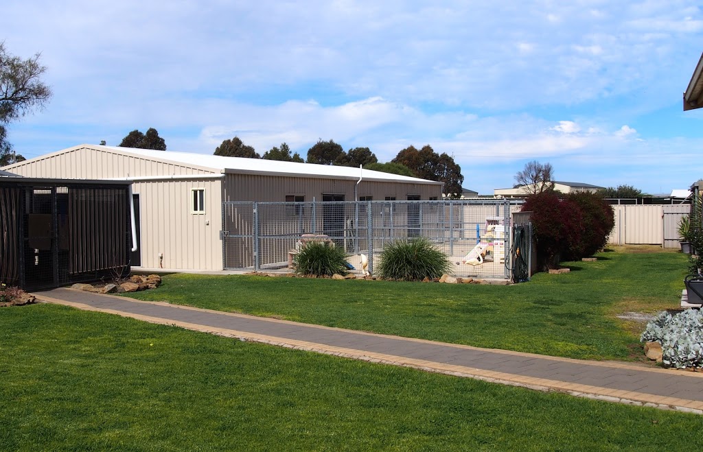 Penfield Boarding Kennels & Cattery | veterinary care | 295 Penfield Rd, Adelaide SA 5120, Australia | 0883809415 OR +61 8 8380 9415