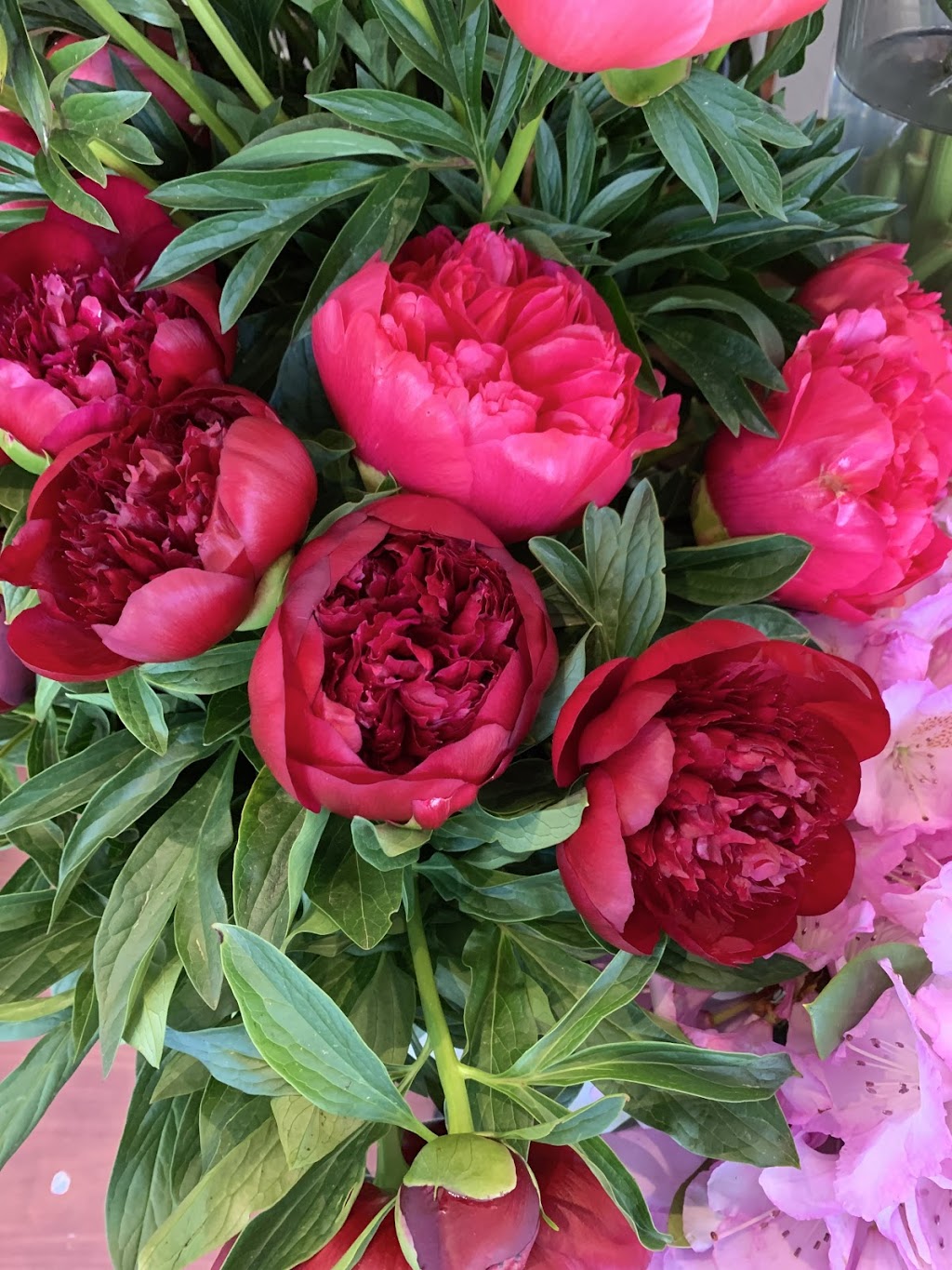 Antaeus Flowers | florist | 63 Toorak Rd, South Yarra VIC 3141, Australia | 0398045349 OR +61 3 9804 5349