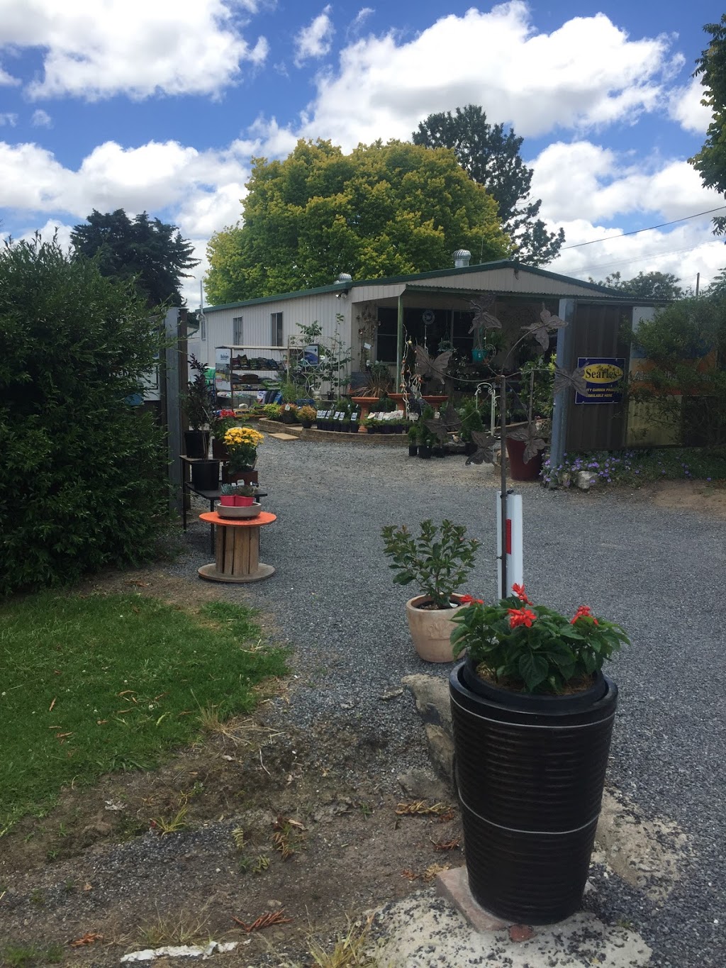 Loganlea Nursery & Florist | florist | Derby St, Tenterfield NSW 2372, Australia | 0267362999 OR +61 2 6736 2999