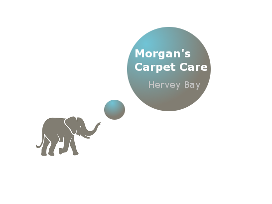 Morgans Carpet Care | laundry | 25 Barker St, Point Vernon QLD 4655, Australia | 0429041382 OR +61 429 041 382