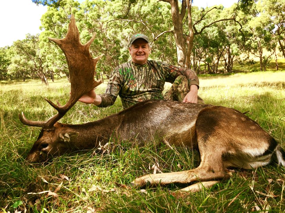 Fallow deer hunting australia | lodging | srs rd wellingrove nsw 2370, Wellingrove NSW 2370, Australia | 0449640512 OR +61 449 640 512