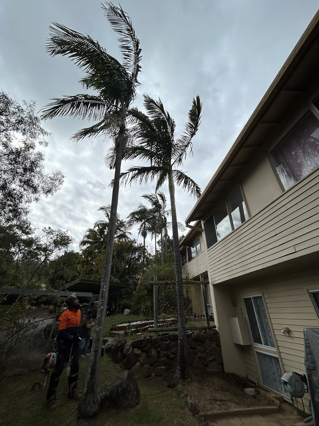 Trees N Terrain | 11 Rosewood Rd, Munruben QLD 4125, Australia | Phone: 0409 243 888