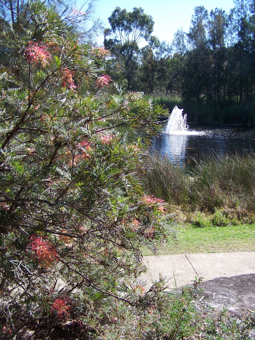Voyager Park | park | Orlando Cres, Voyager Point NSW 2172, Australia | 1300362170 OR +61 1300 362 170