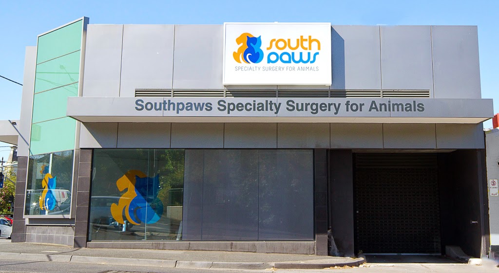 Southpaws Specialty Surgery Consulting Suites | 4/555 Riversdale Rd, Camberwell VIC 3124, Australia | Phone: (03) 9813 2326
