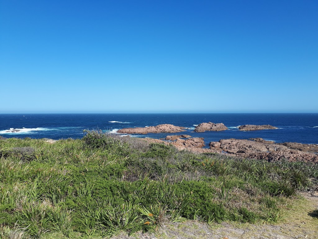 Fingal Island | Lighthouse Trail, Fingal Bay NSW 2315, Australia | Phone: (02) 4984 8200