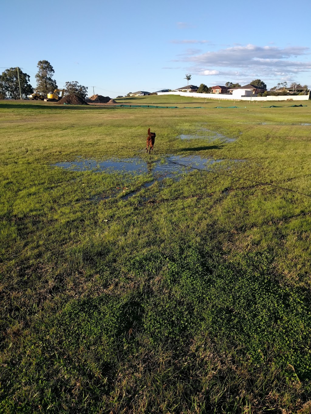 Raworth Dog Off-Leash Area | park | 155 Morpeth Rd, East Maitland NSW 2323, Australia