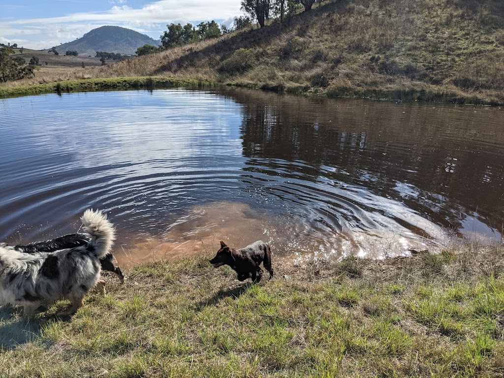 Hillsdale Farm | 748 Castlereagh Hwy, Burrundulla NSW 2850, Australia | Phone: 0478 715 668