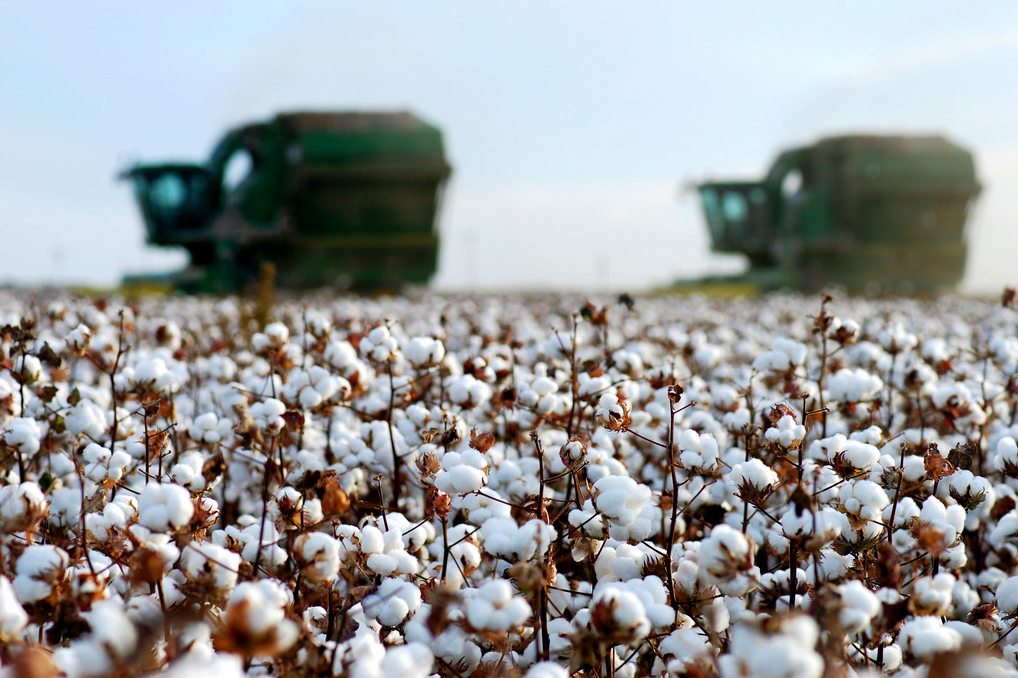 Pacific Fertiliser - Toowoomba | 59 Hermitage Rd, Cranley QLD 4350, Australia | Phone: 1300 473 497