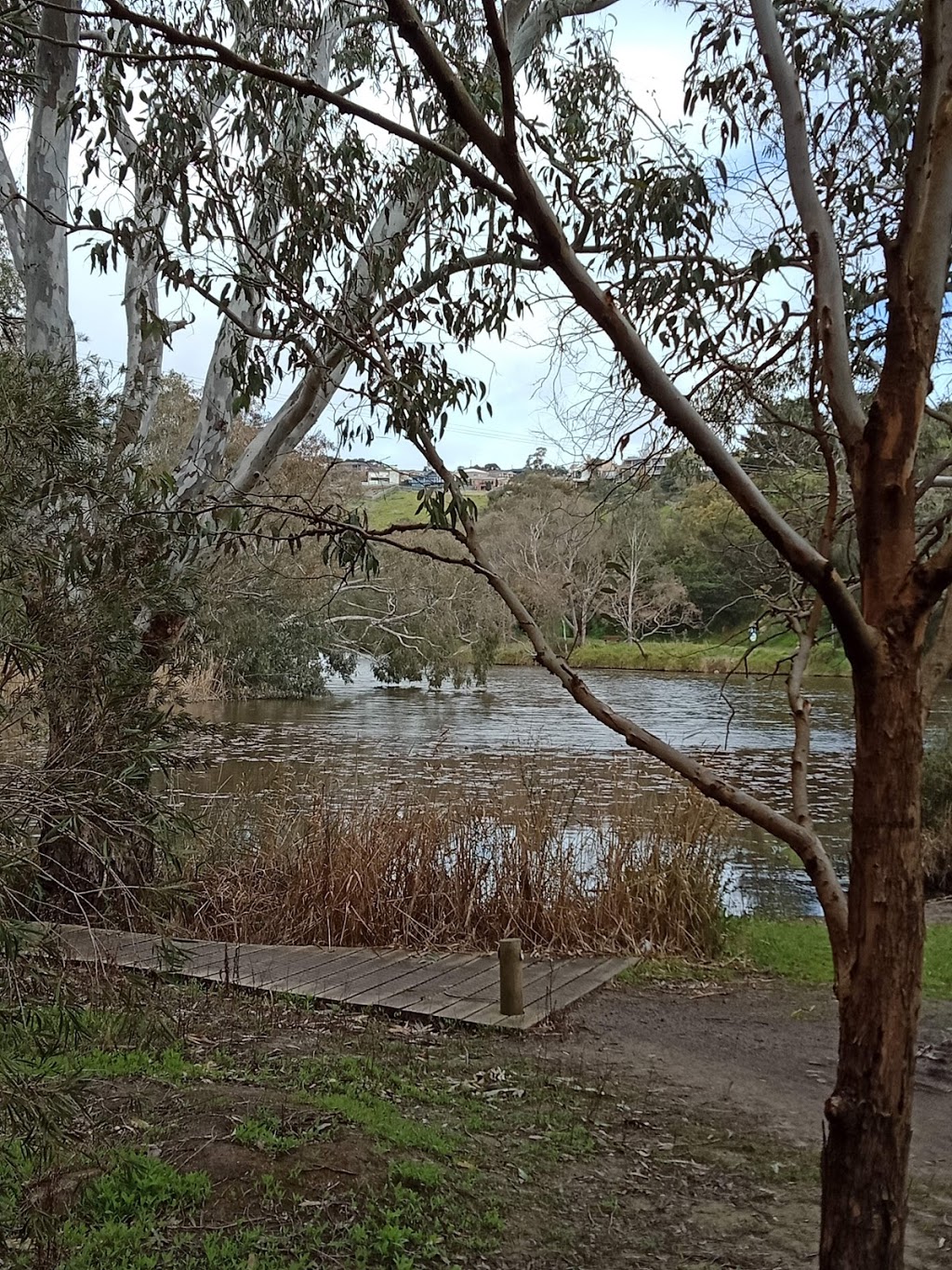 Mooralbool and Barwon Rivers junction | park | Barwon Aqueduct River Trail, Highton VIC 3216, Australia