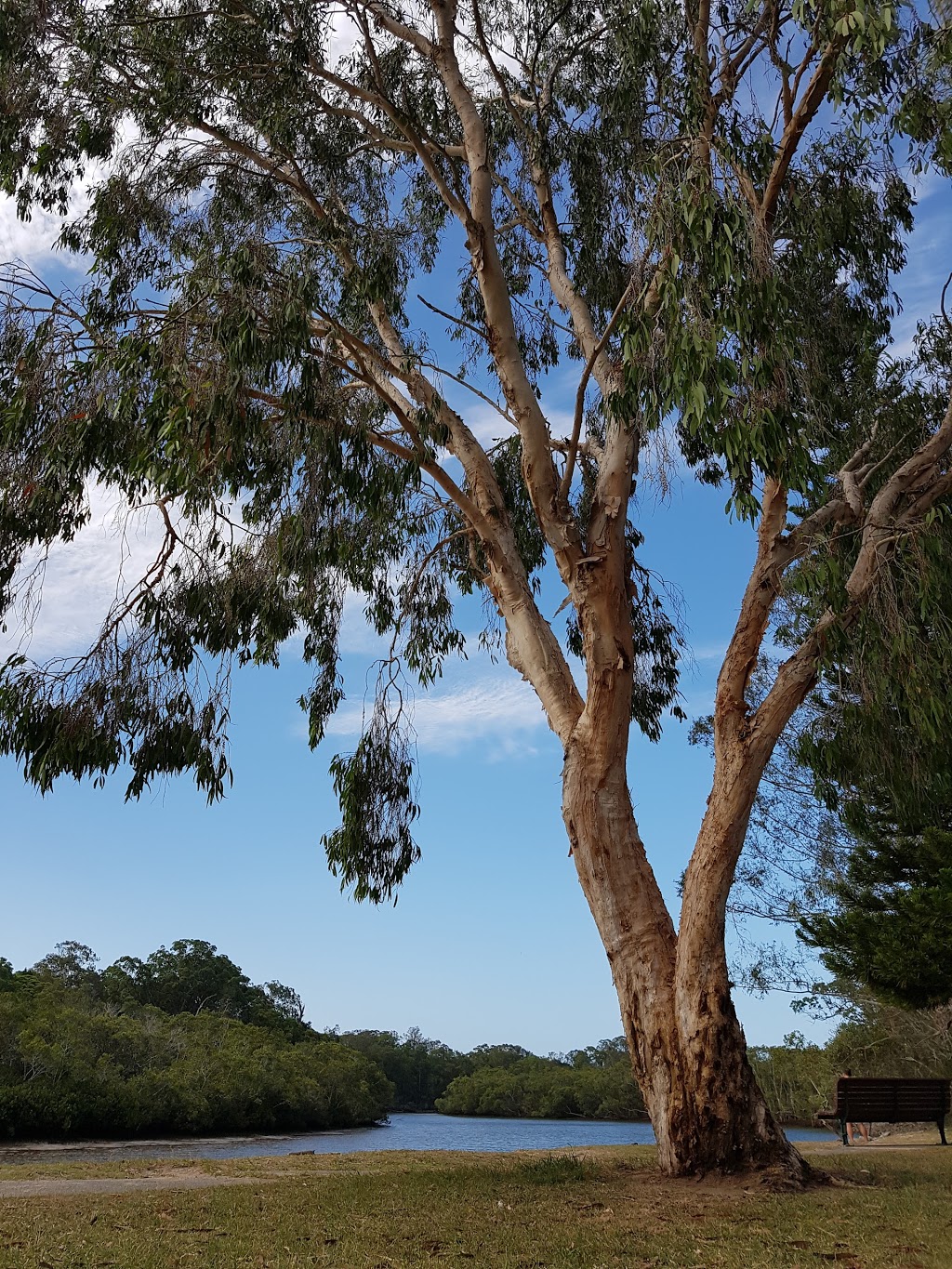 Schuster Park | park | Tallebudgera QLD 4228, Australia