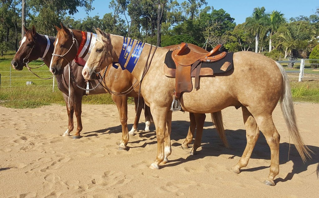 HPH Horses | 46 Mulara Rd, Bondoola QLD 4703, Australia | Phone: 0423 827 089