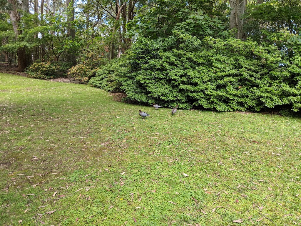 Illawarra Rhododendron Gardens | park | Parrish Ave, Mount Pleasant NSW 2519, Australia | 0490069360 OR +61 490 069 360