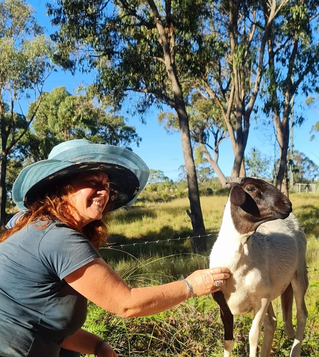Gungarra Gardens | 486 Mount Tully Rd, Mount Tully QLD 4380, Australia | Phone: 0408 440 481