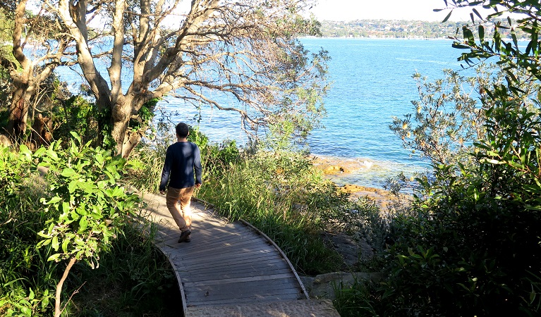Hermitage Foreshore track | park | 14 Greycliffe Ave, Vaucluse NSW 2030, Australia | 0293375511 OR +61 2 9337 5511