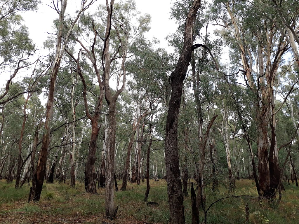 Cudgee Park | park | Shepparton VIC 3630, Australia