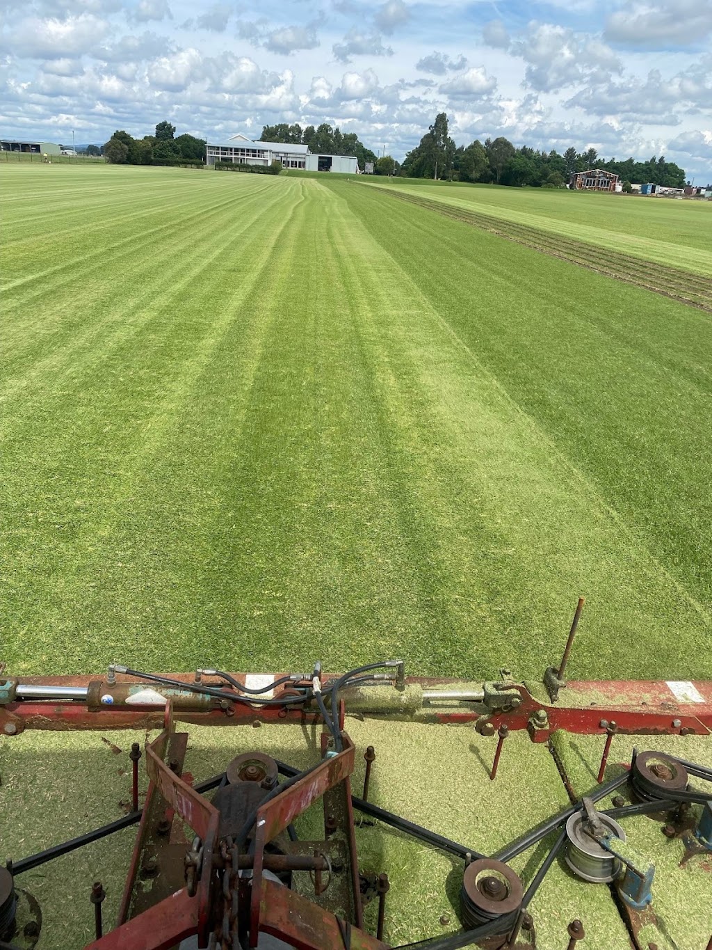 OB Turf | 61 Flat Rd, Bolwarra NSW 2320, Australia | Phone: 0408 600 827