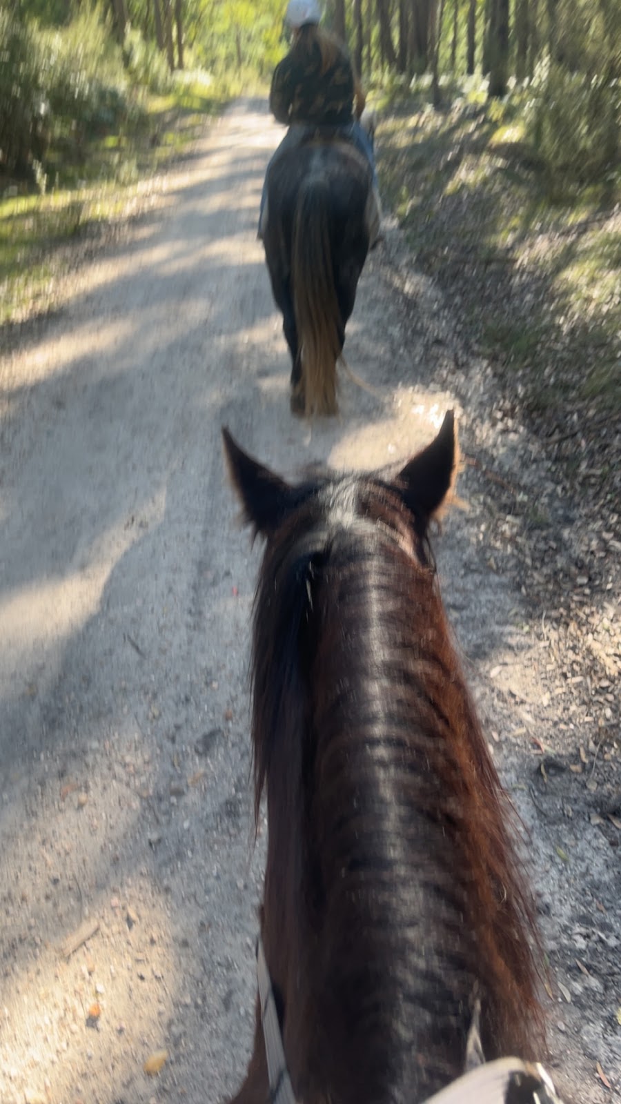 Lancaster’s Horse Rides | Lancaster Rd, Swan Reach VIC 3903, Australia | Phone: 0458 211 123