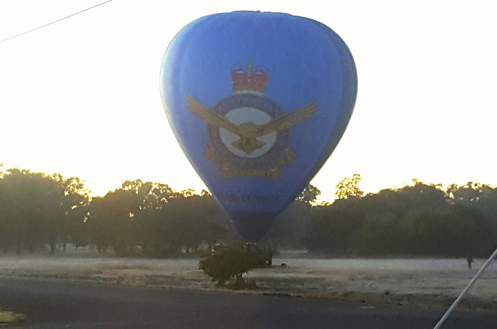 Golden Gate Reserve, Temora, NSW | park | 175 Gardiner St, Temora NSW 2666, Australia